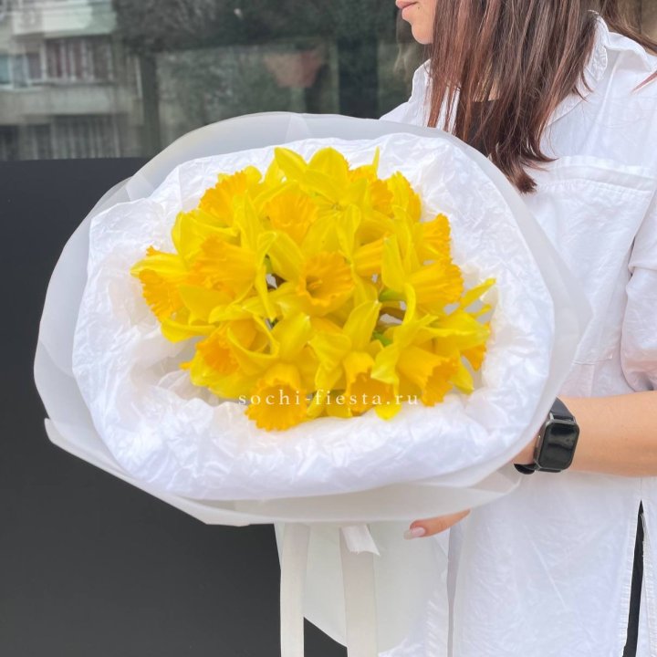 Нарциссы 25 шт в Ставрополи