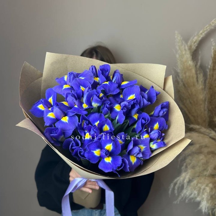 Ирисы в Ставрополи