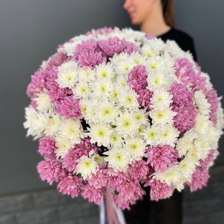  Букет 25 хризантем микс в Ставрополи