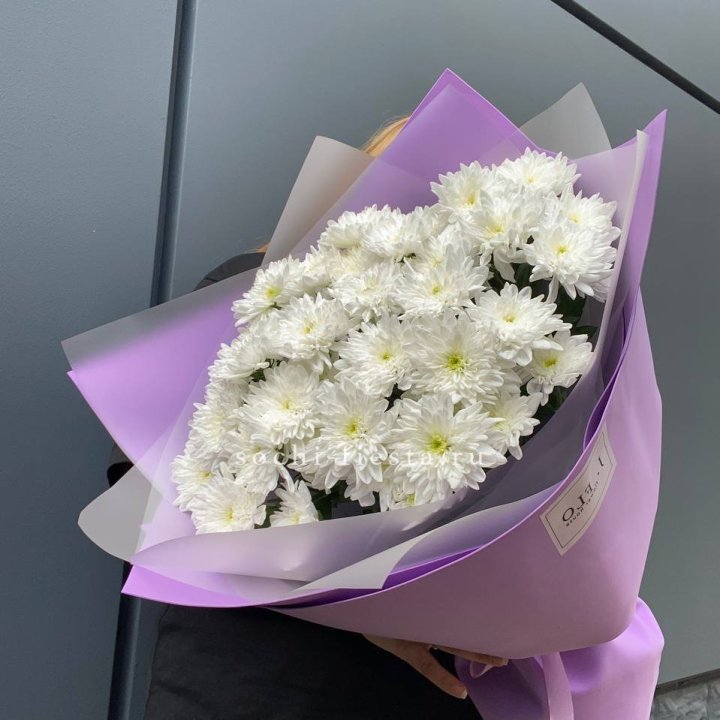  7 хризантем  в Ставрополи