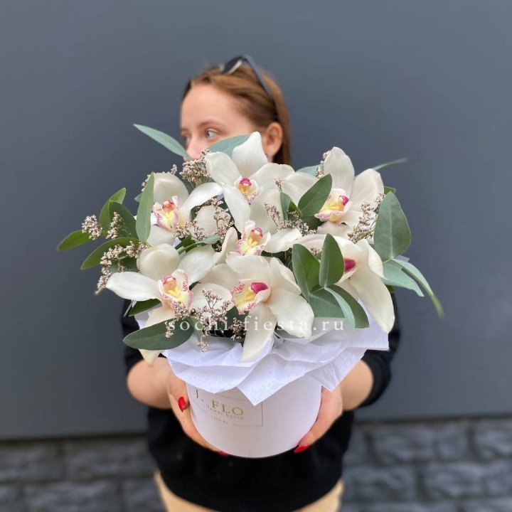 7 орхидей в боксе в Ставрополи