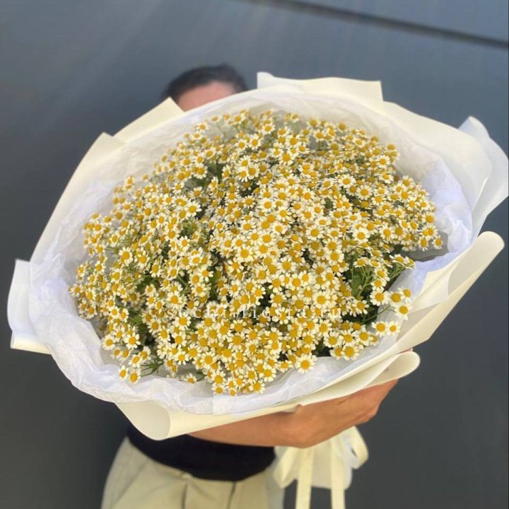 Букет ромашек №2 в Ставрополи