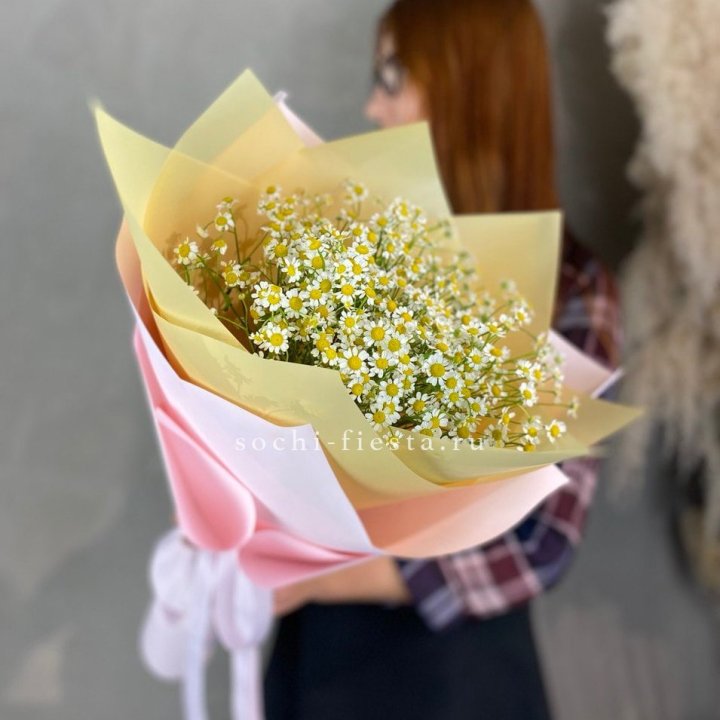 Букет ромашек №3 в Ставрополи