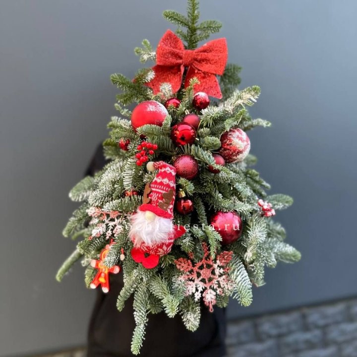 Новогодняя елочка "Ред" в Ставрополи