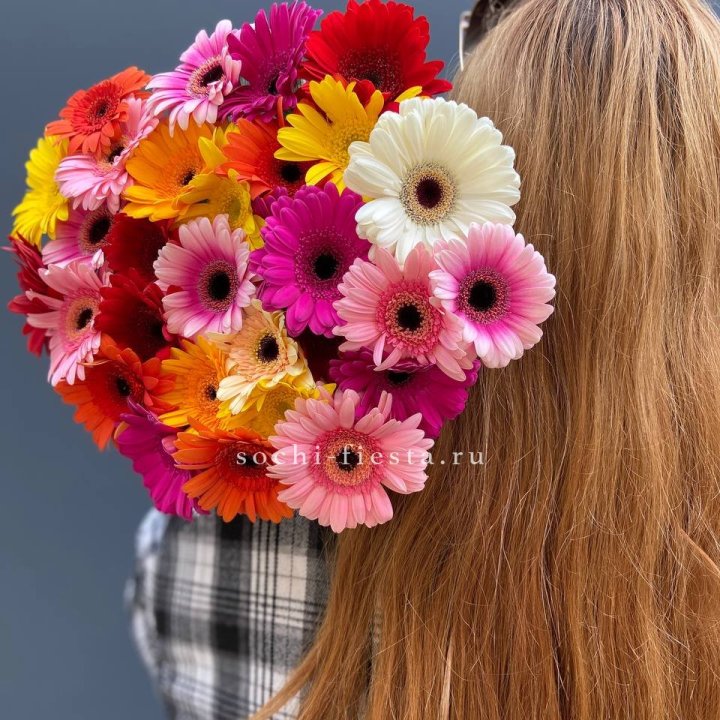 Охапка гербер  в Ставрополи