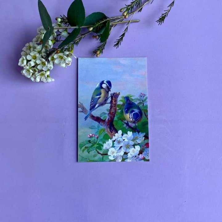 Открытка к букету "Птицы" в Ставрополи