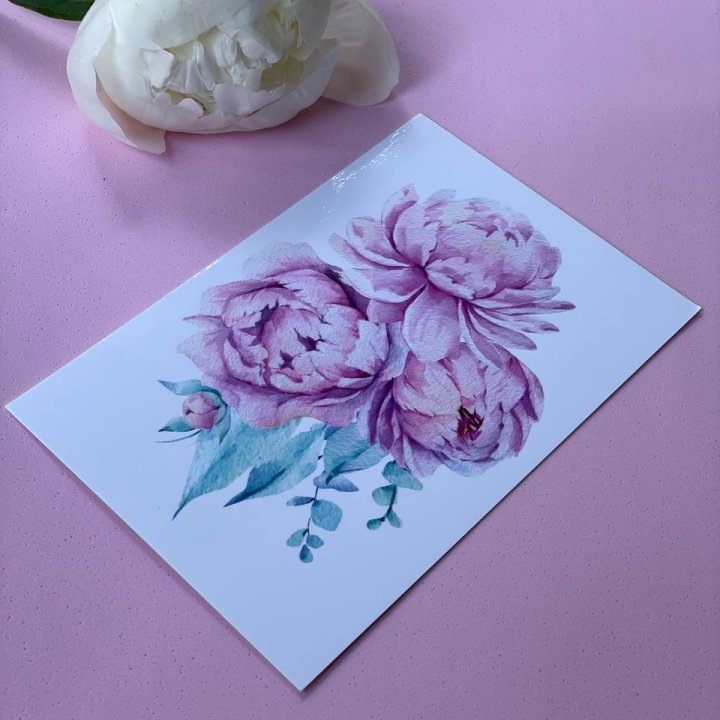 Открытка к букету "Пионы" в Ставрополи