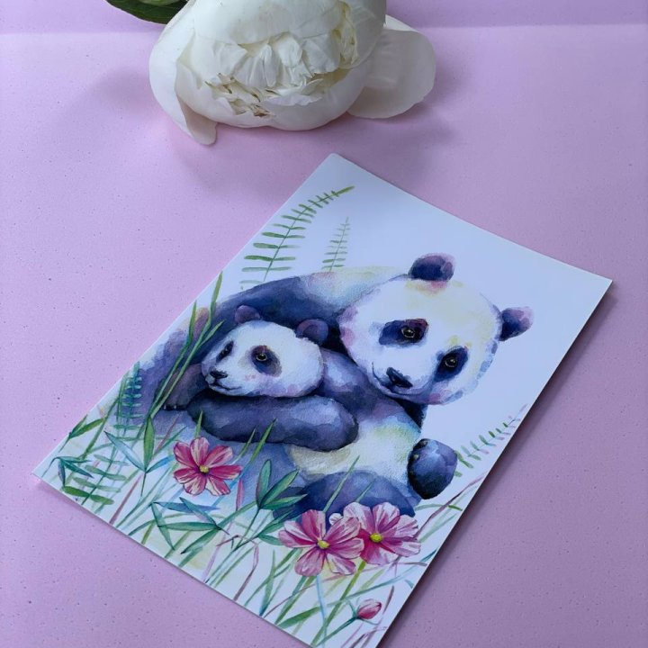 Открытка к букету "Объятие Панды" в Ставрополи