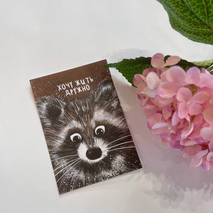 Открытка к букету "Енотик" в Ставрополи