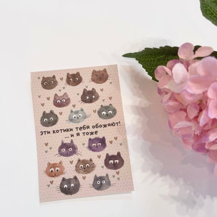 Открытка к букету "Котики" в Ставрополи