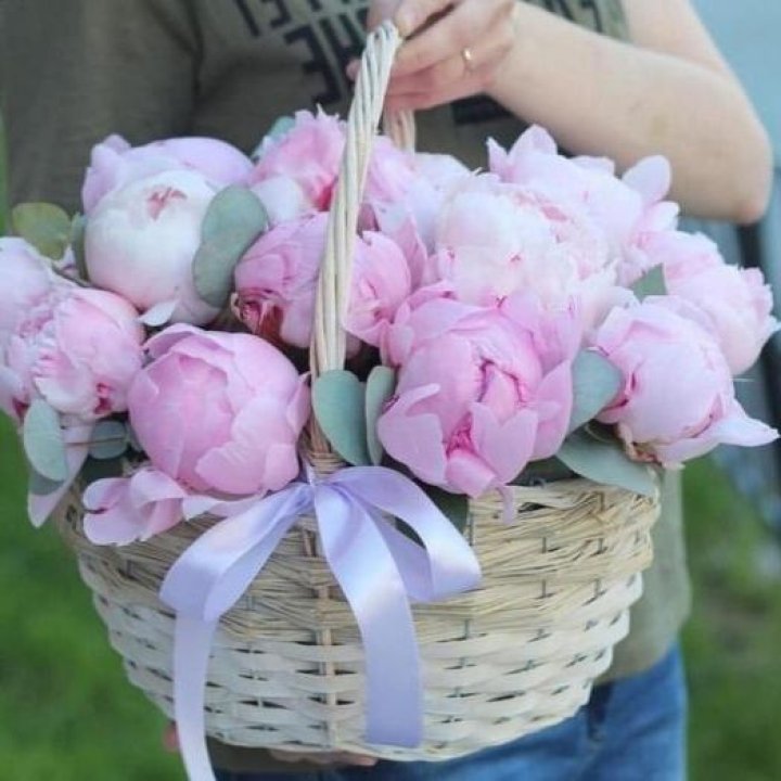 15 пионов в корзине в Ставрополи