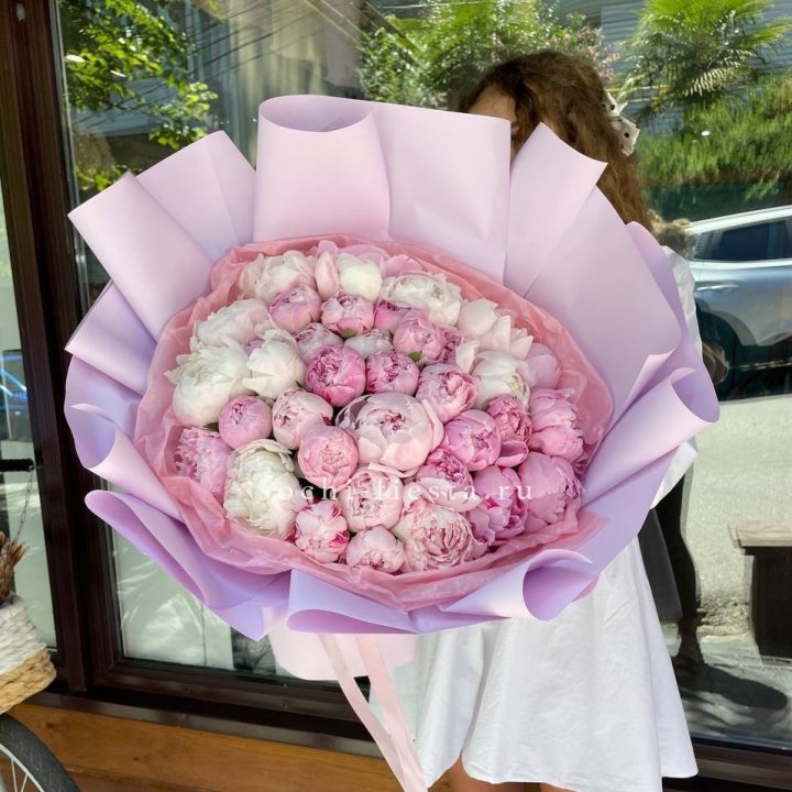 51 розовый пион в Ставрополи