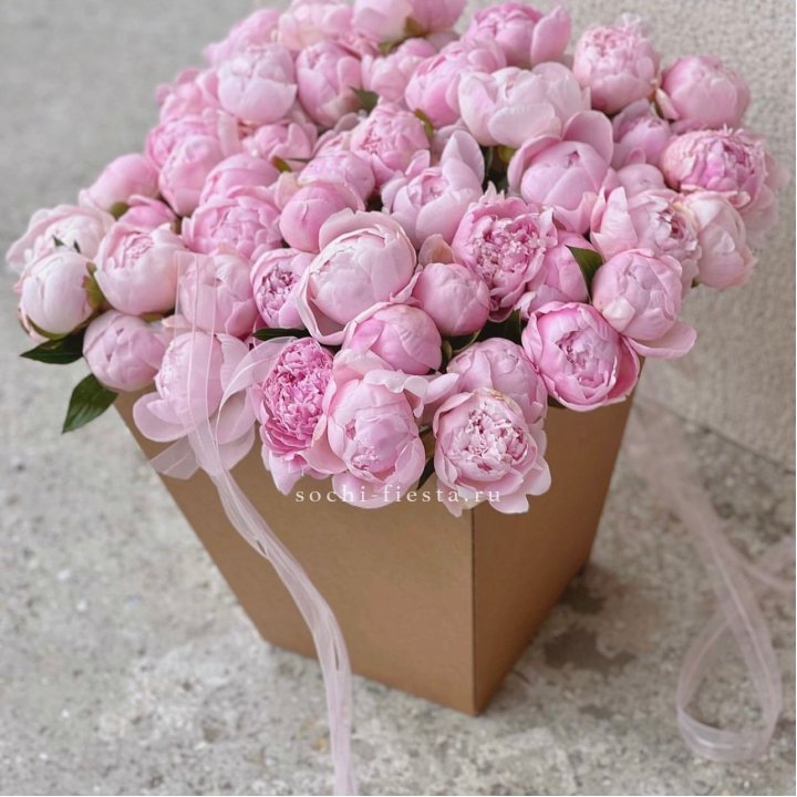 49 пионов в крафт коробке в Ставрополи