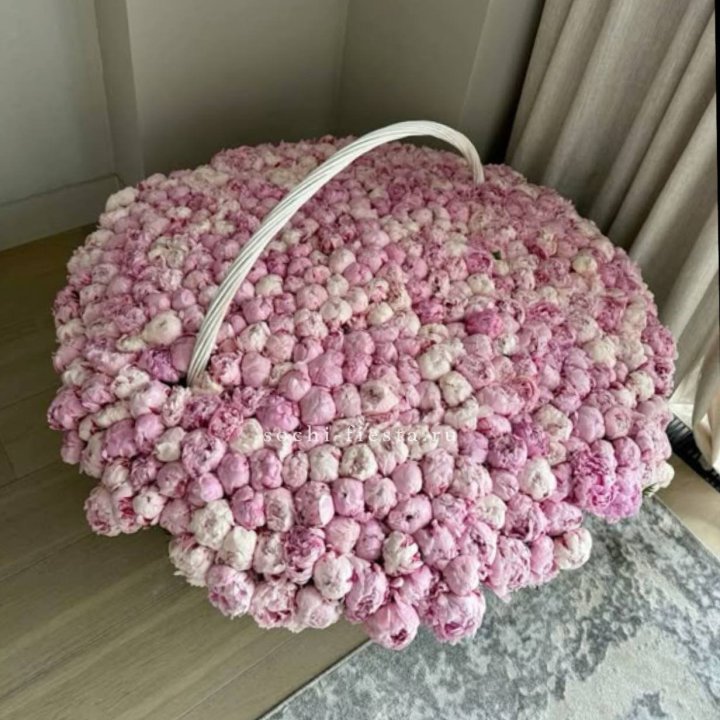 Корзина 555 пионов в Ставрополи