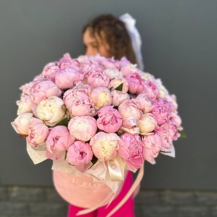 51 нежных пионов  в цилиндре в Ставрополи