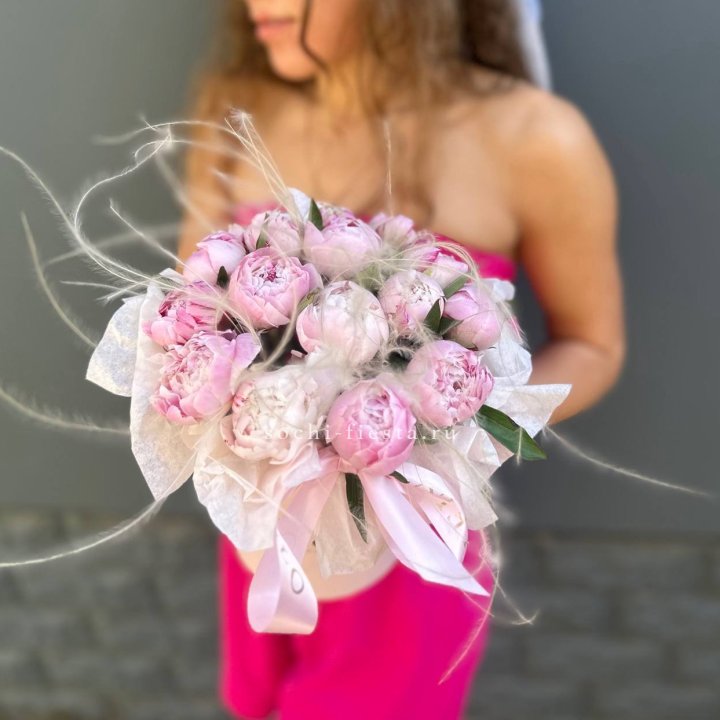 Цилиндр "Асмина" в Ставрополи