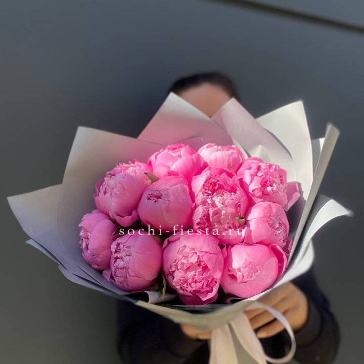 Пионы Алекс флеминг в Ставрополи