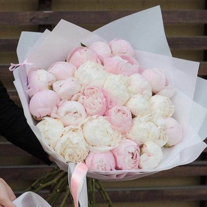 29 пионов в Ставрополи