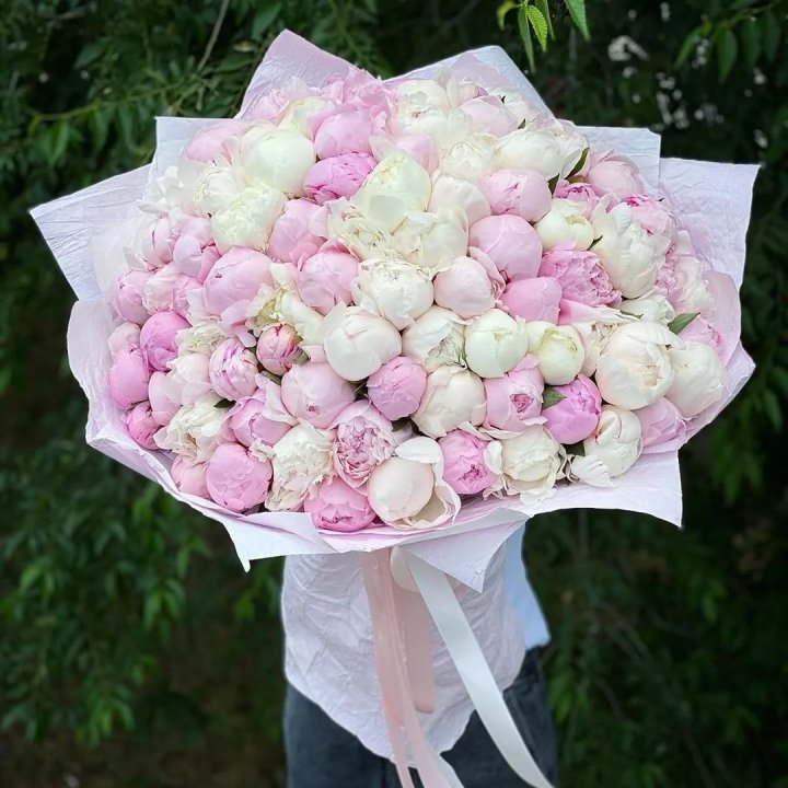 101 пион в Ставрополи