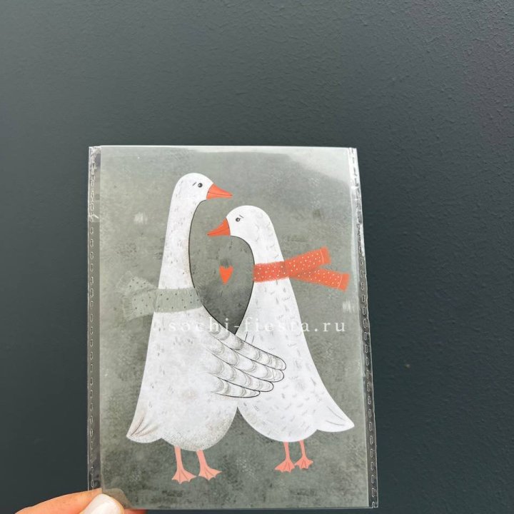 Открытка к букету "Гуси” в Ставрополи