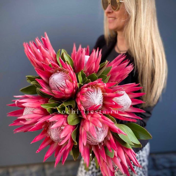 Протея штучно в Ставрополи