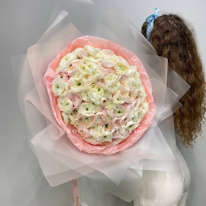 113 ранункулюсов  в Ставрополи