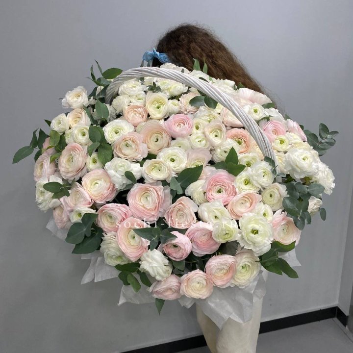 Ранункулюсы в корзине в Ставрополи