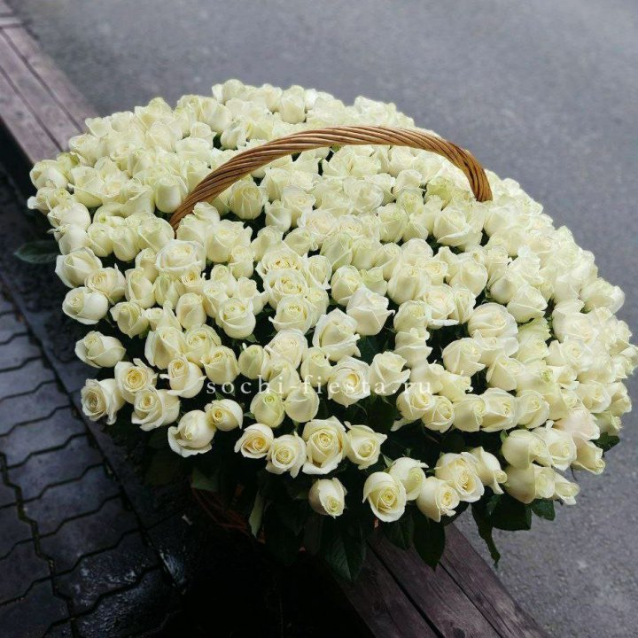 303 розы в корзине в Ставрополи