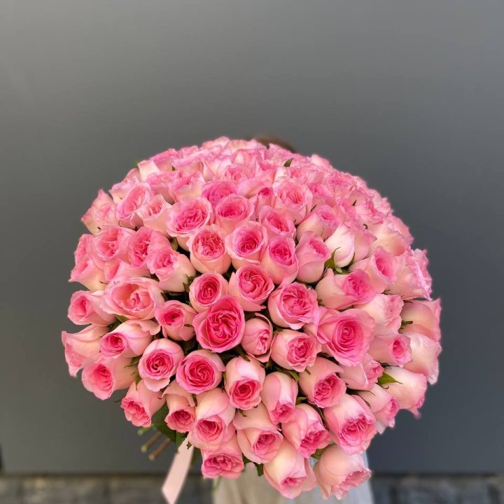 101 розовая роза в Ставрополи