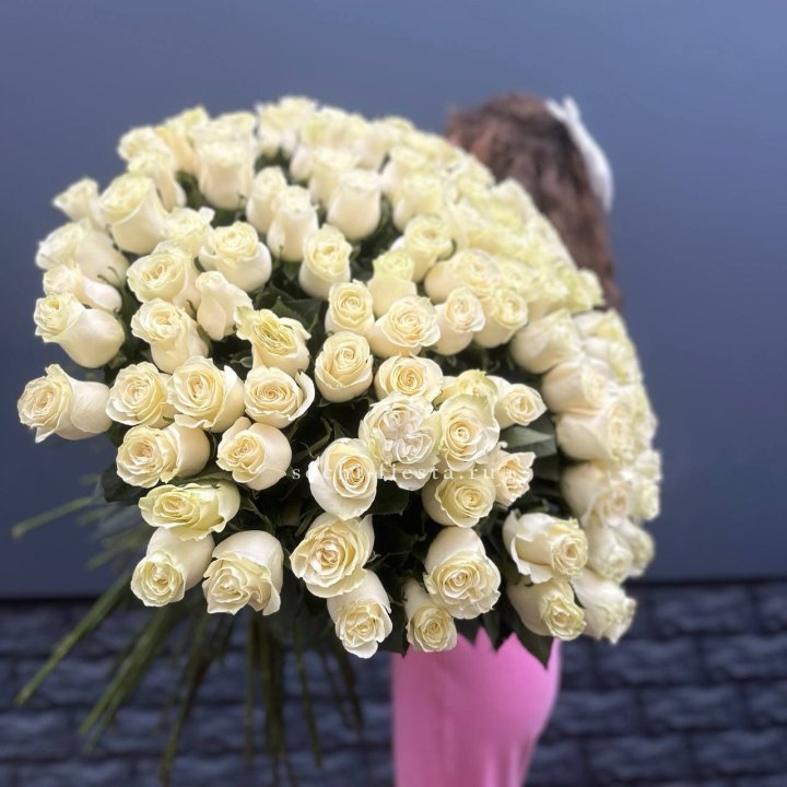 101 белая высокая импортная роза под ленту в Ставрополи