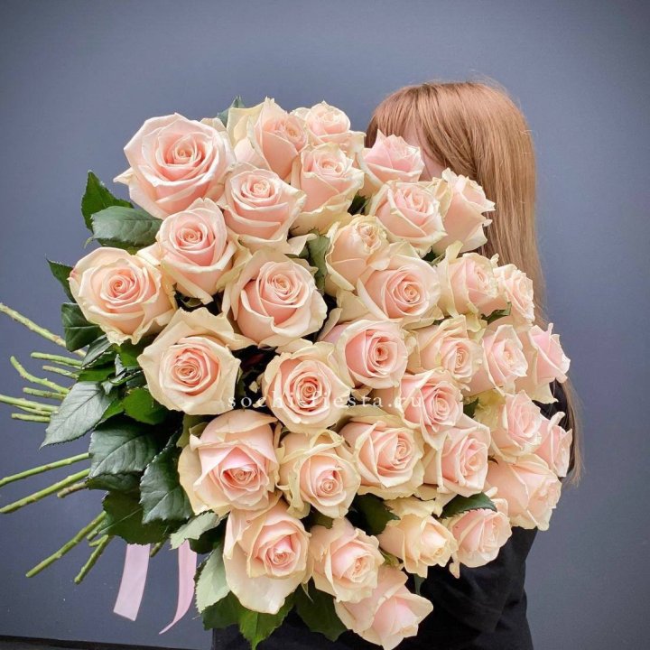 35 кремовых высоких роз в Ставрополи