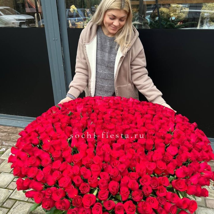 501 красная роза в корзине в Ставрополи