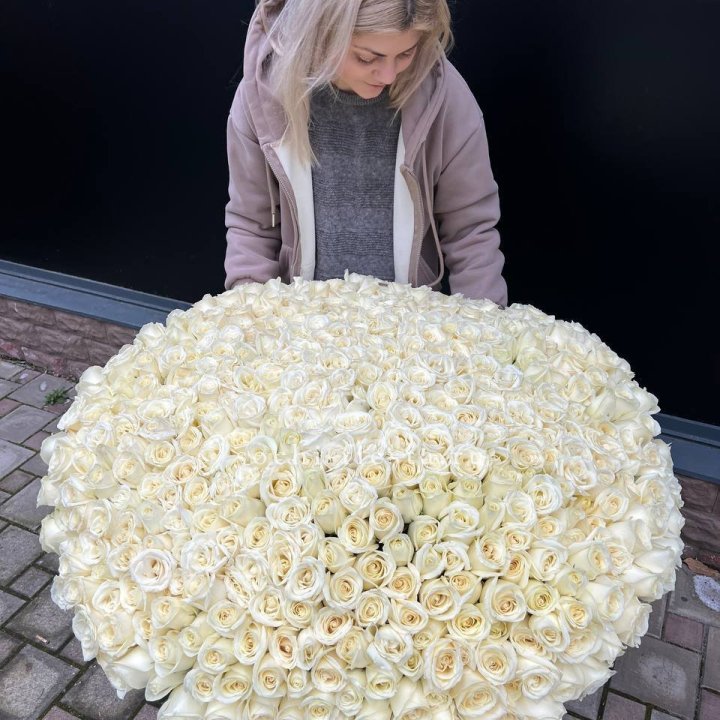 501 белая роза в корзине в Ставрополи