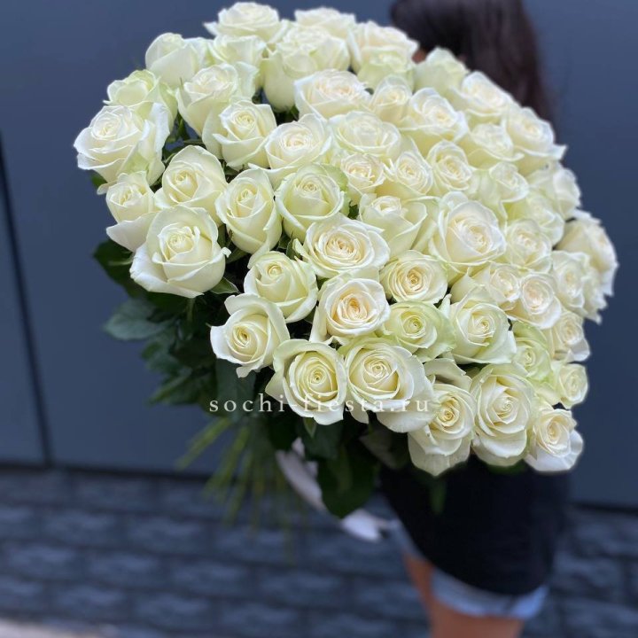 51 белоснежная высокая роза в Ставрополи