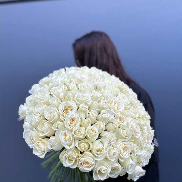 Охапка из 101 белой розы  в Ставрополи