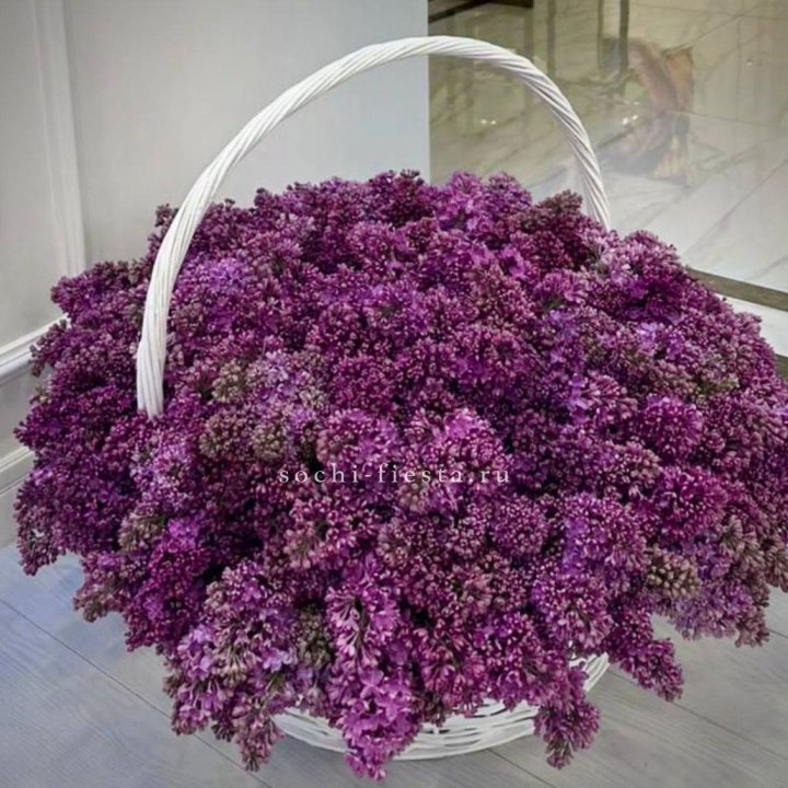 Корзина сирени в Ставрополи