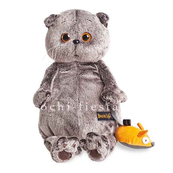 Кот Басик с мышкой в Ставрополи