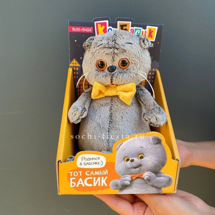 Кот Басик с бабочкой в Ставрополи