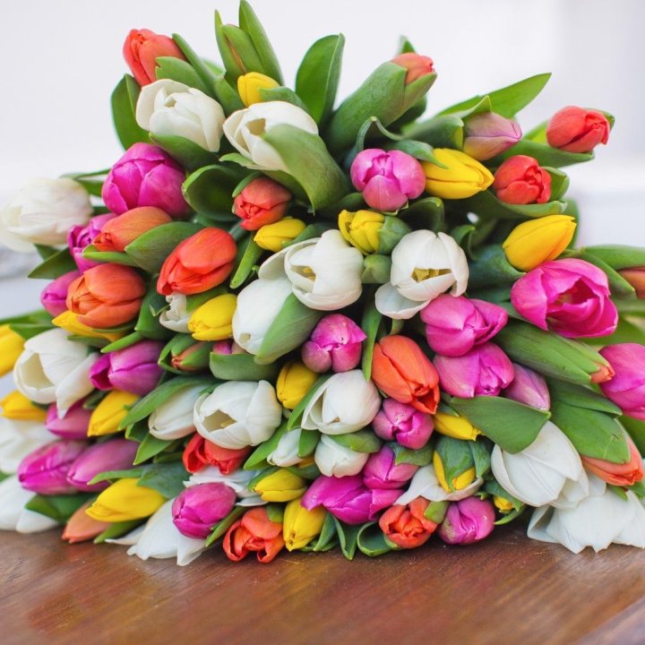 79 тюльпанов "Рандом" в Ставрополи