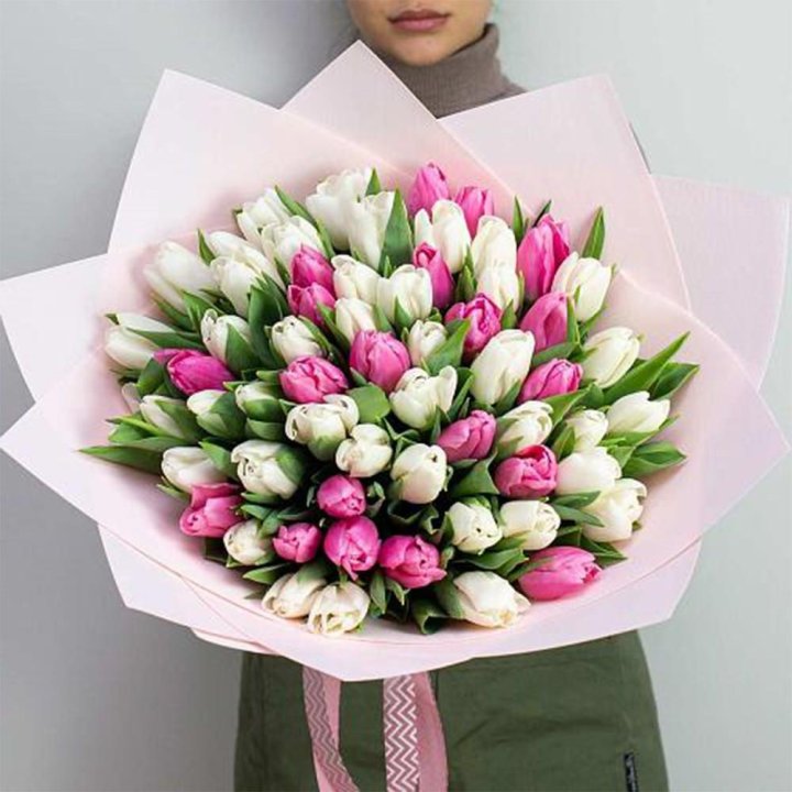 61 бело-розовый тюльпан в Ставрополи