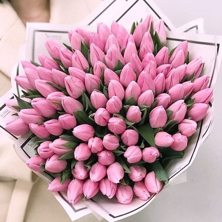 101 розовый тюльпан в белом в Ставрополи