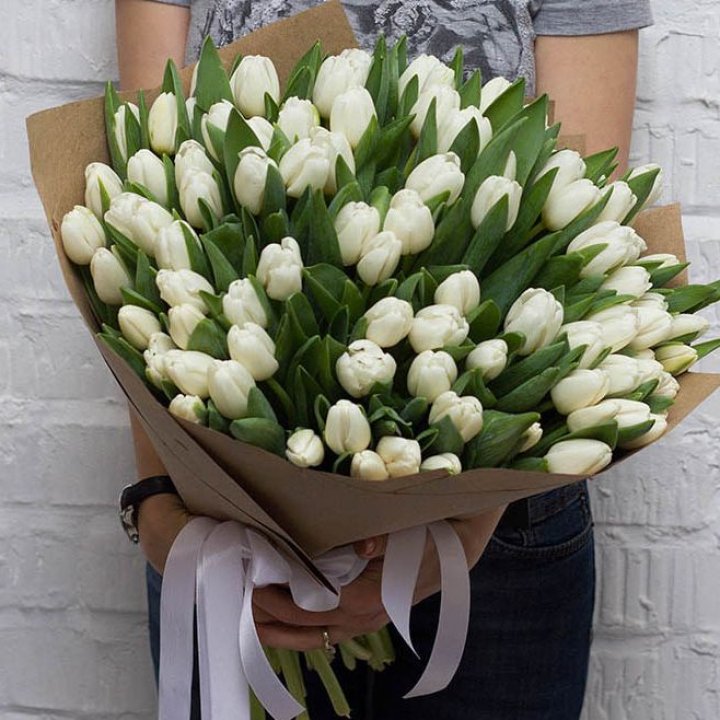 101 тюльпан сноу в Ставрополи