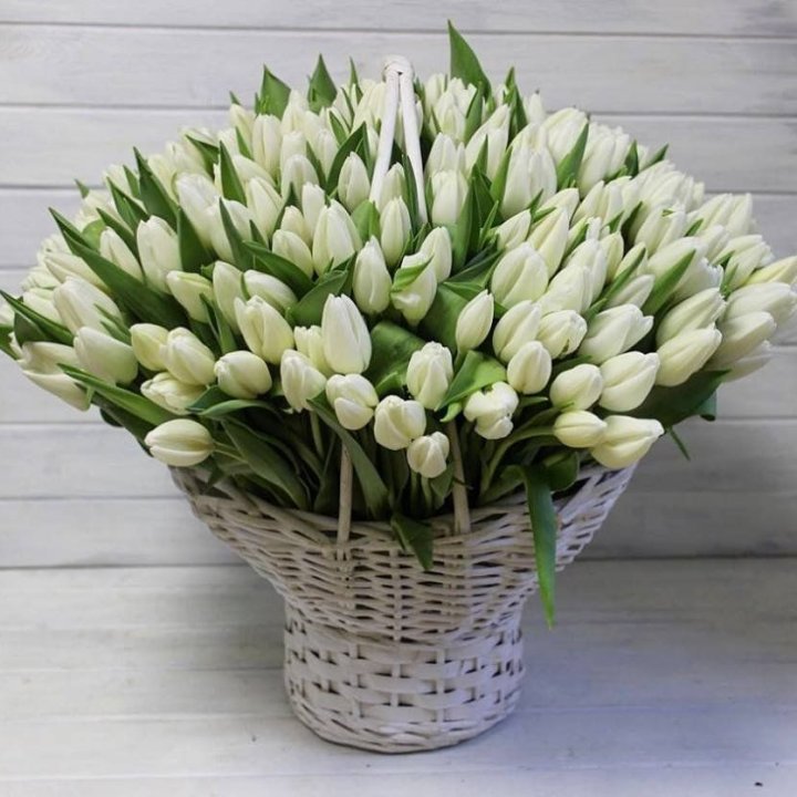 Корзина из 151 тюльпана в Ставрополи