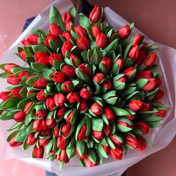 101 красный тюльпан в Ставрополи