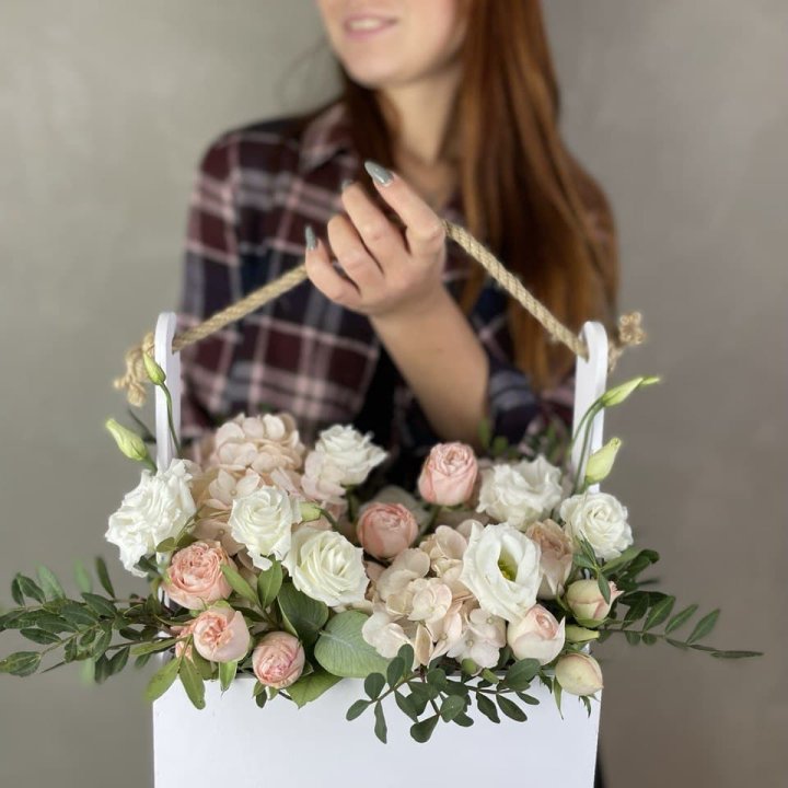 Ящик бокс нежный в Ставрополи